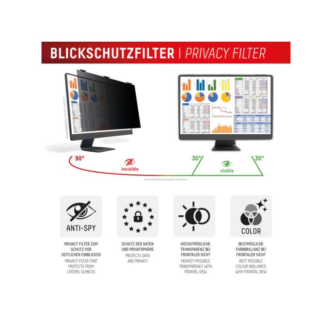 DISPLEX Privacy Safe Desktop Uni 24inch (16:9)